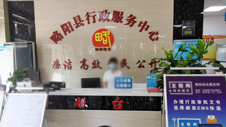 略阳政务服务中心